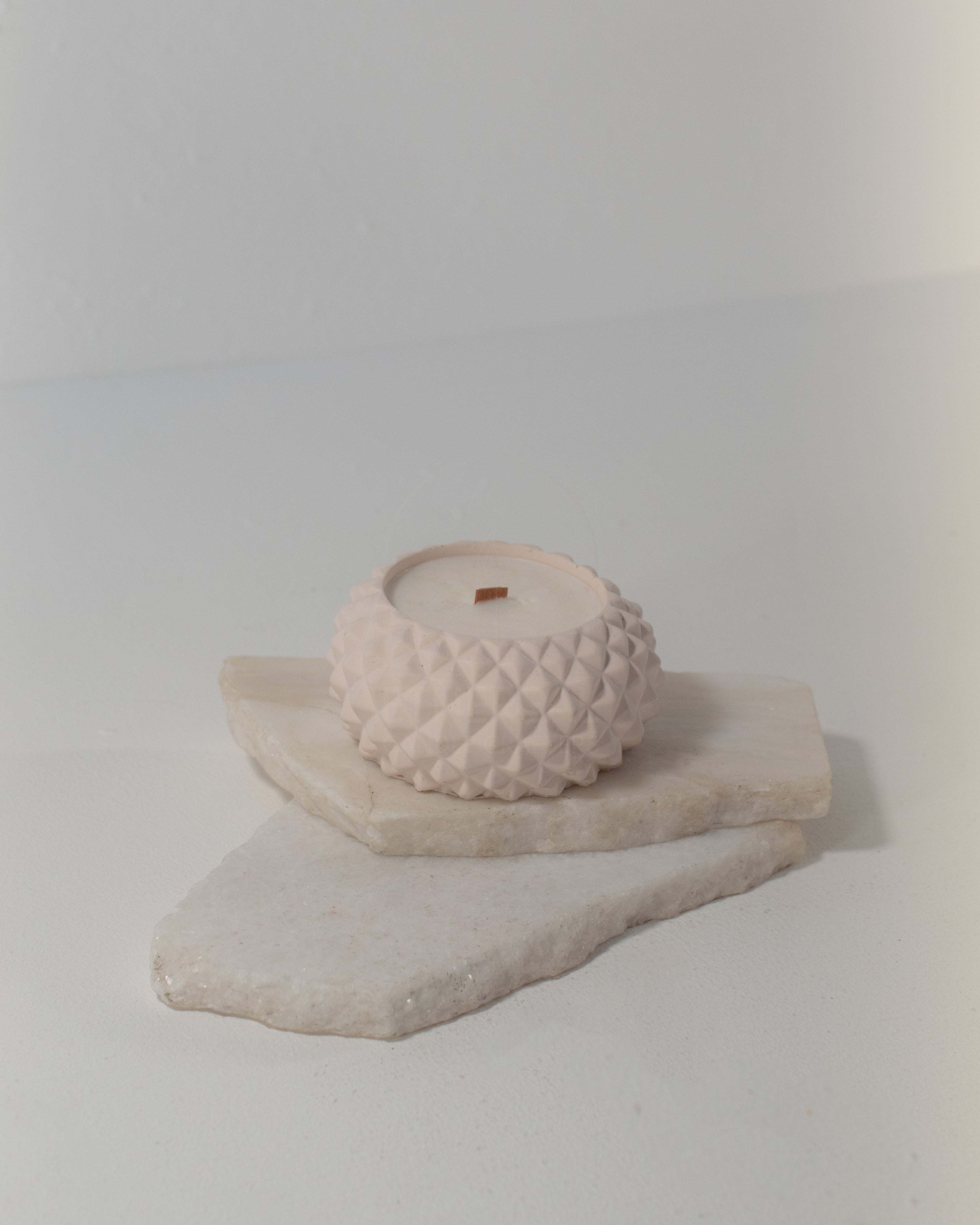 Amarula -Ivory Scent